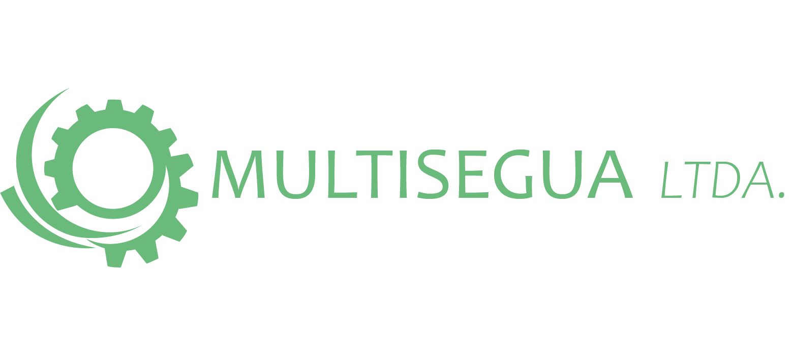 MULTISEGUA