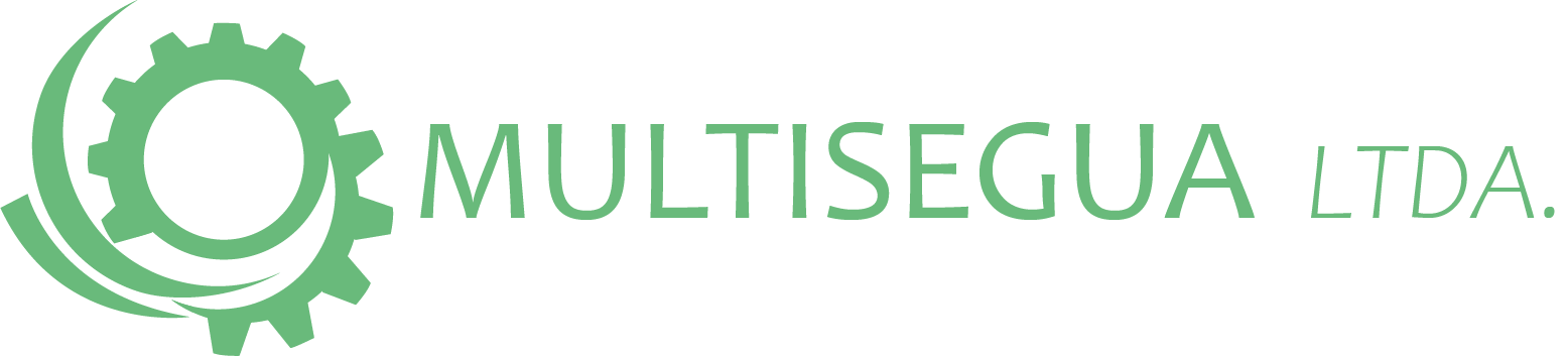 Logo Multisegua